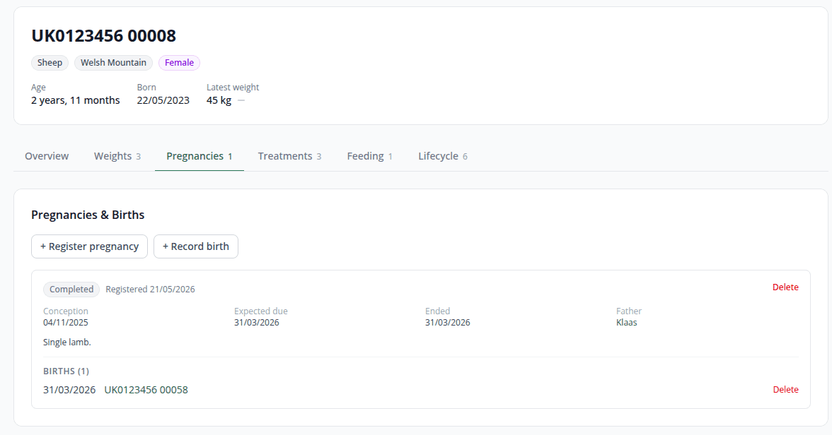 Pregnancies tab listing active and completed pregnancies with their linked offspring.
